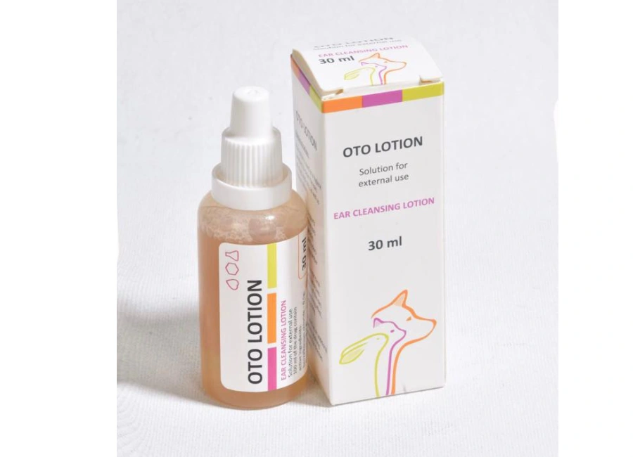 Otolotion Türkiye